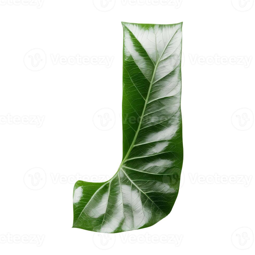 Green leaf typography text design uppercase alphabet J, photo