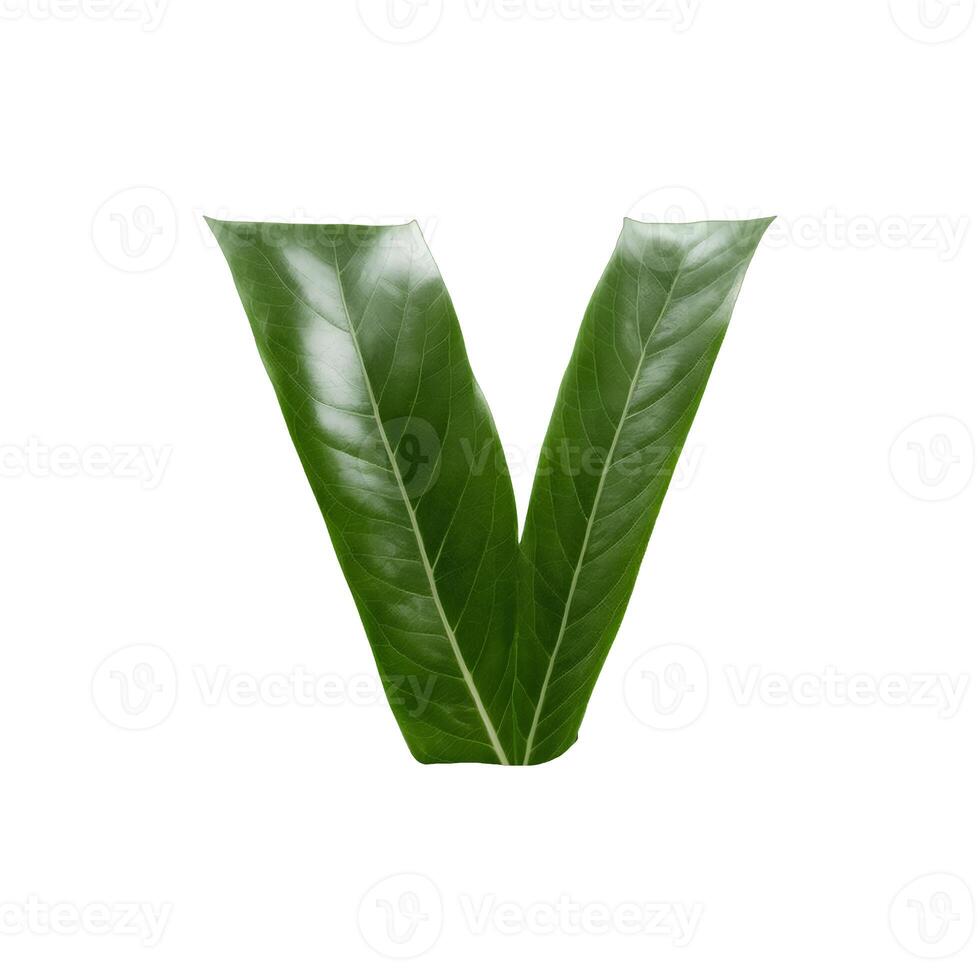 Green leaf typography text design lowercase alphabet v, photo