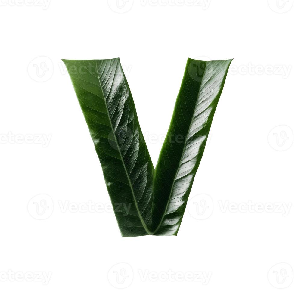 Green leaf typography text design uppercase alphabet V, photo