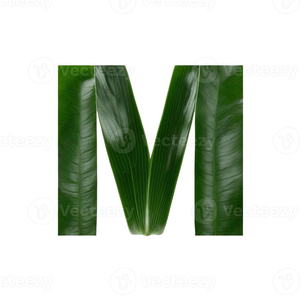 Green leaf typography text design uppercase alphabet M, photo