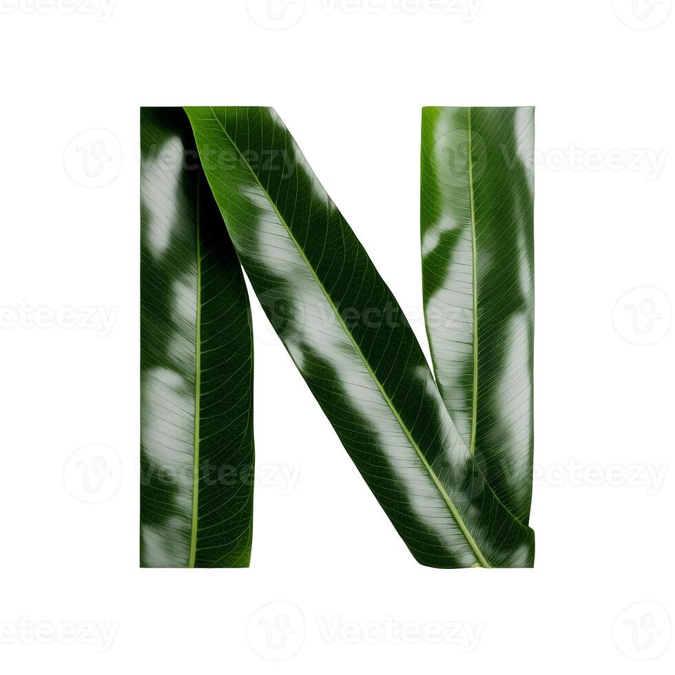 Green leaf typography text design uppercase alphabet N, photo