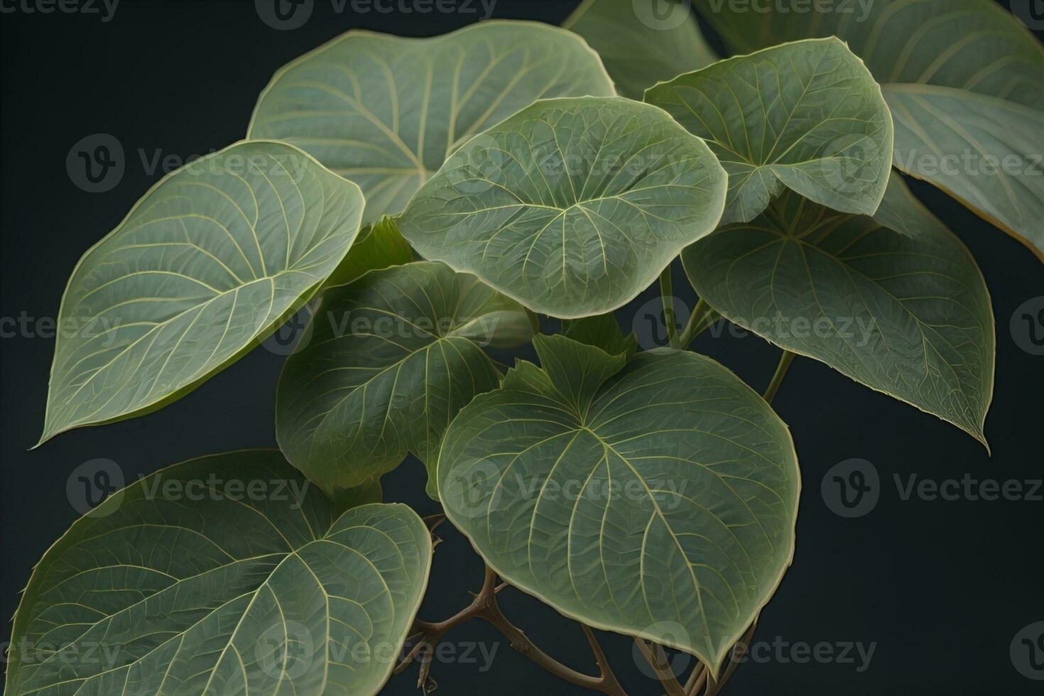 Close up of a blooming colorful flowers in springtime. Close-up. ai generative photo