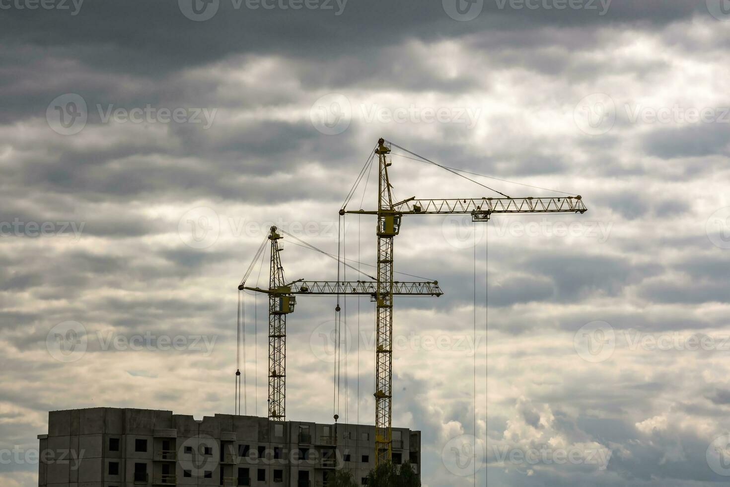 tower cranes working on construction photo