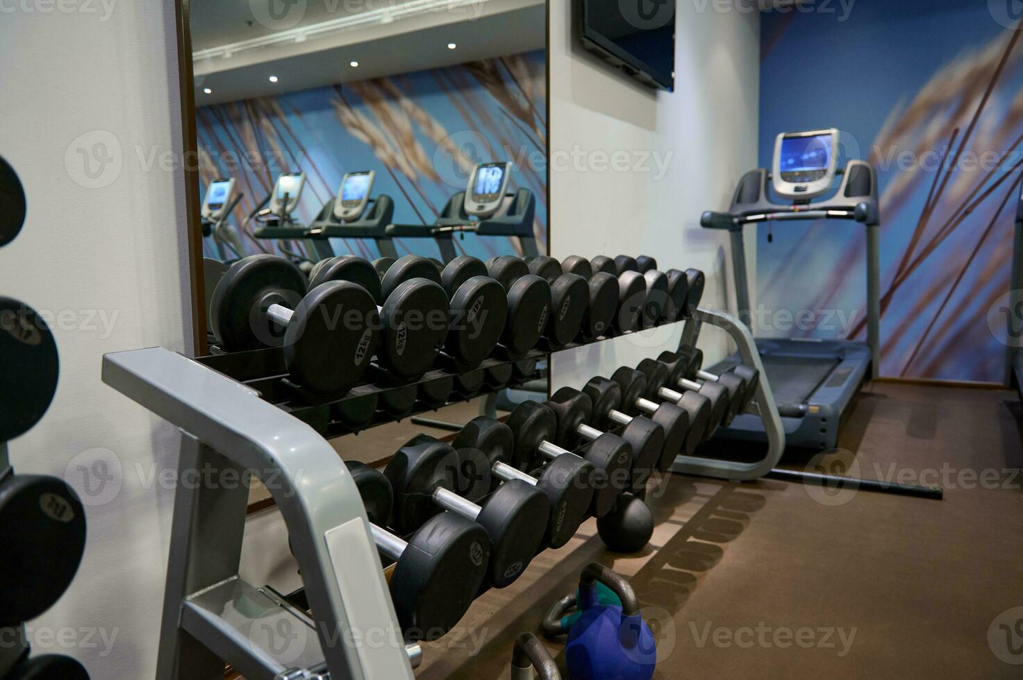 Close-up. Many metal dumbbells and kettlebells on rack in sport fitness center on the background of large mirror in fitness club photo