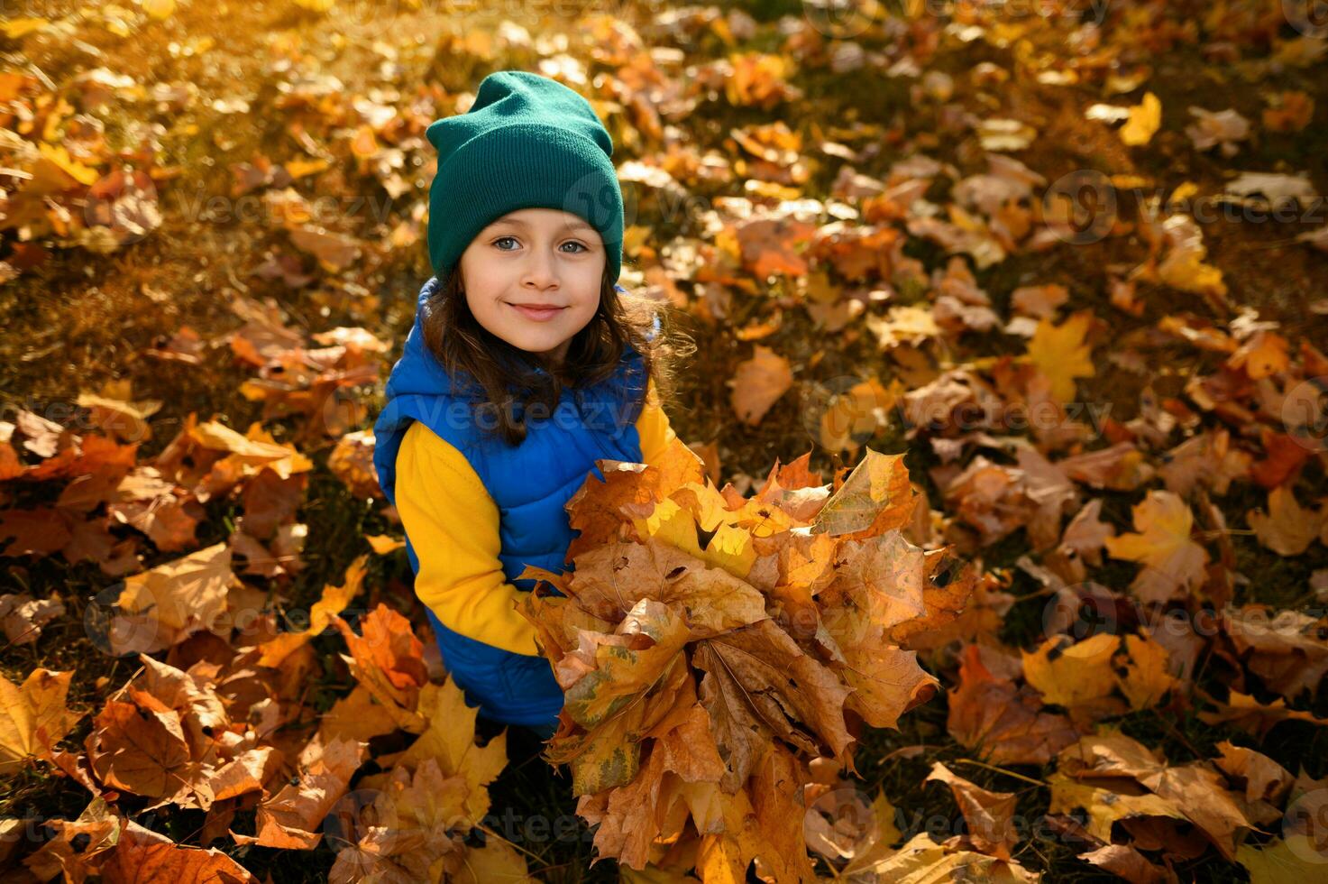 Top view of adorable beautiful little child girl with bouquet of collected yellow dry maple leaves, cutely smiling looking at camera sitting among fallen leaves in autumn nature background at sunset photo