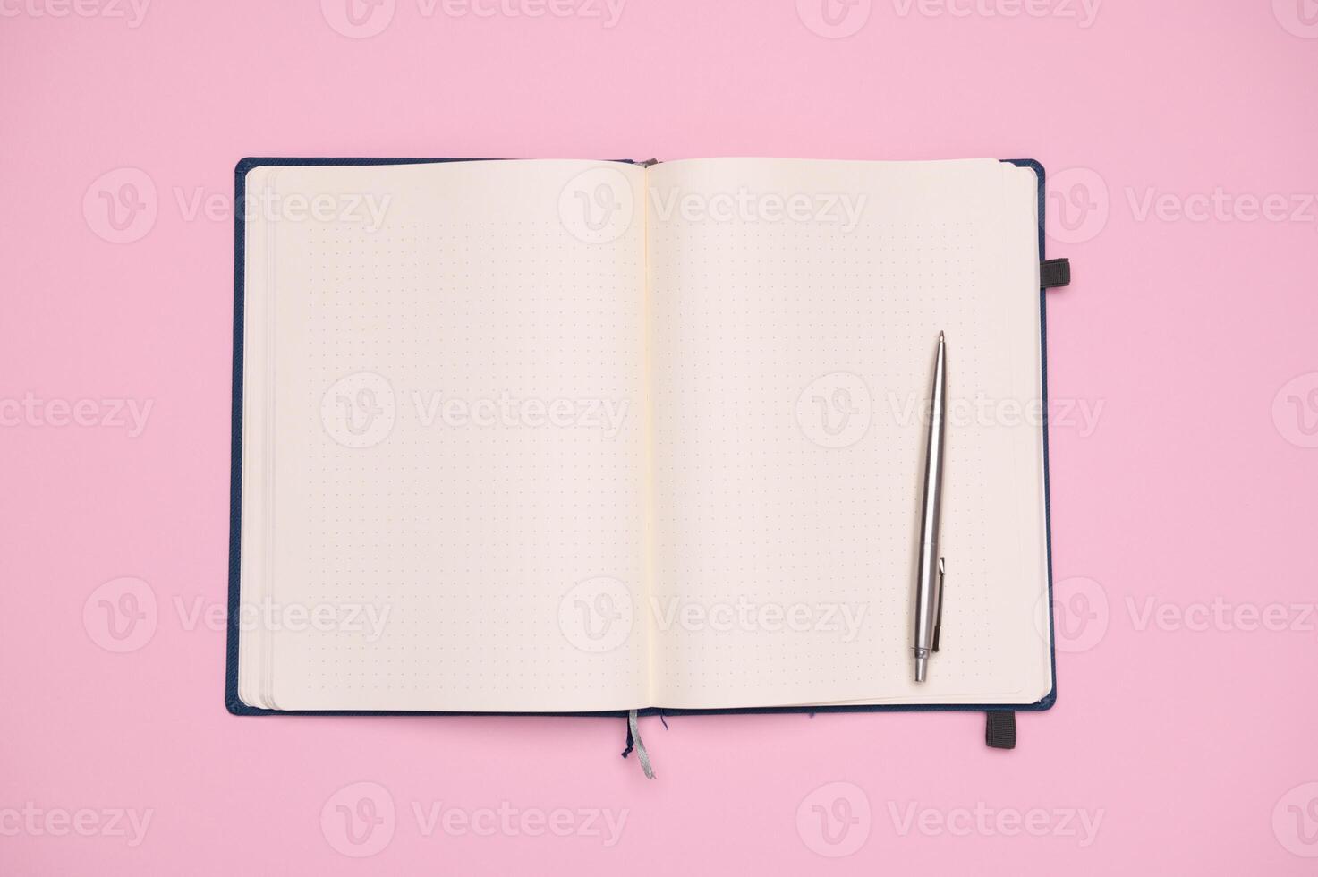 View from above. Blank pages of a notepad and stylish silver pen, isolated on pink background. Copy advertising space photo