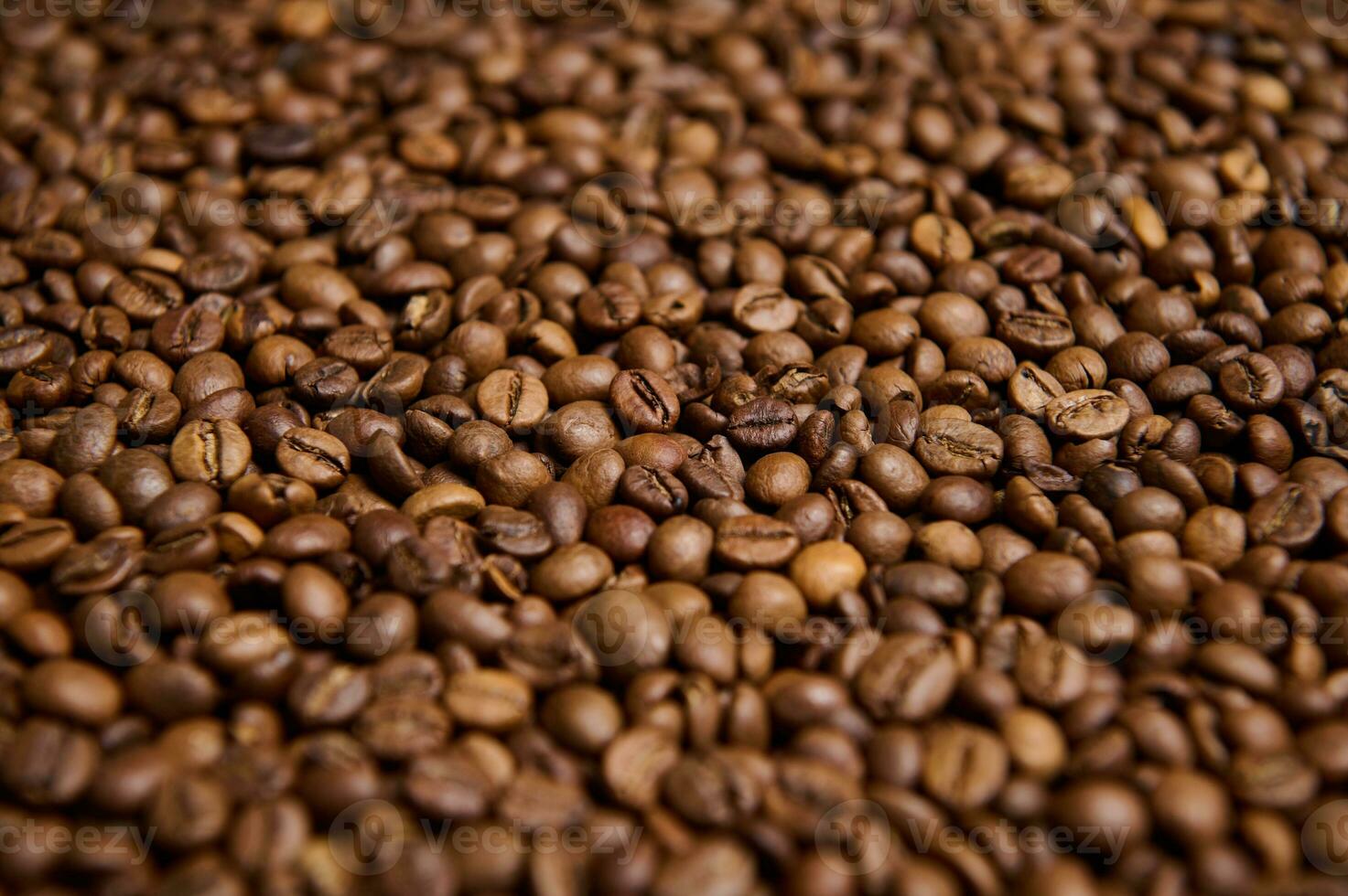 Close-up composition of fresh roasted coffee beans. Coffee grains background. Food background. Copy space photo