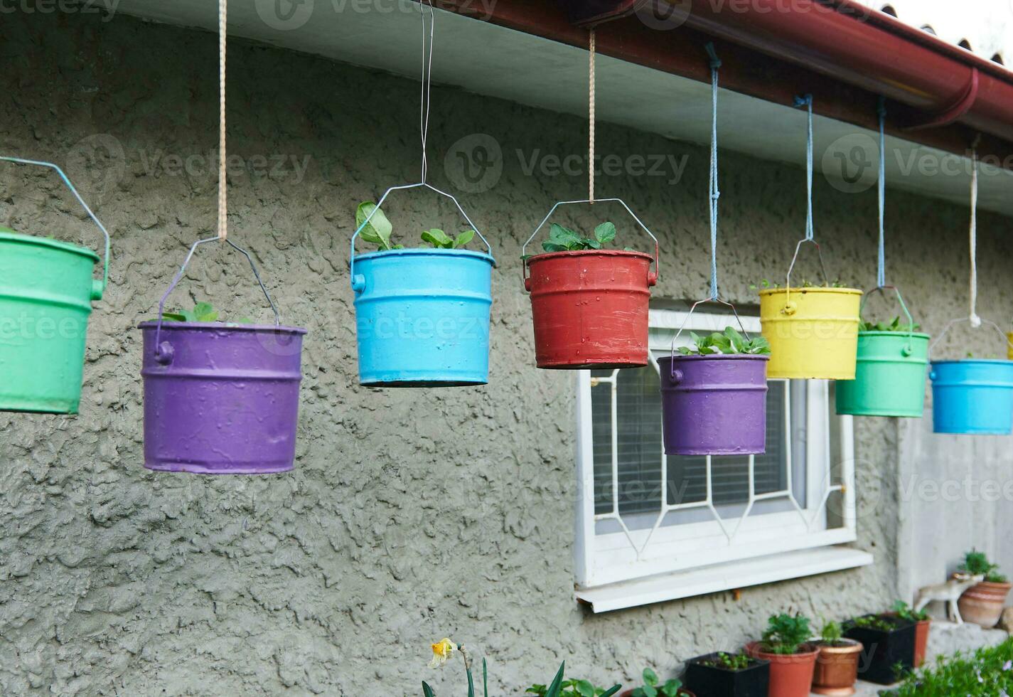 Metal buckets painted in different bright colors with plants planted inside, hanging under the roof of a house photo