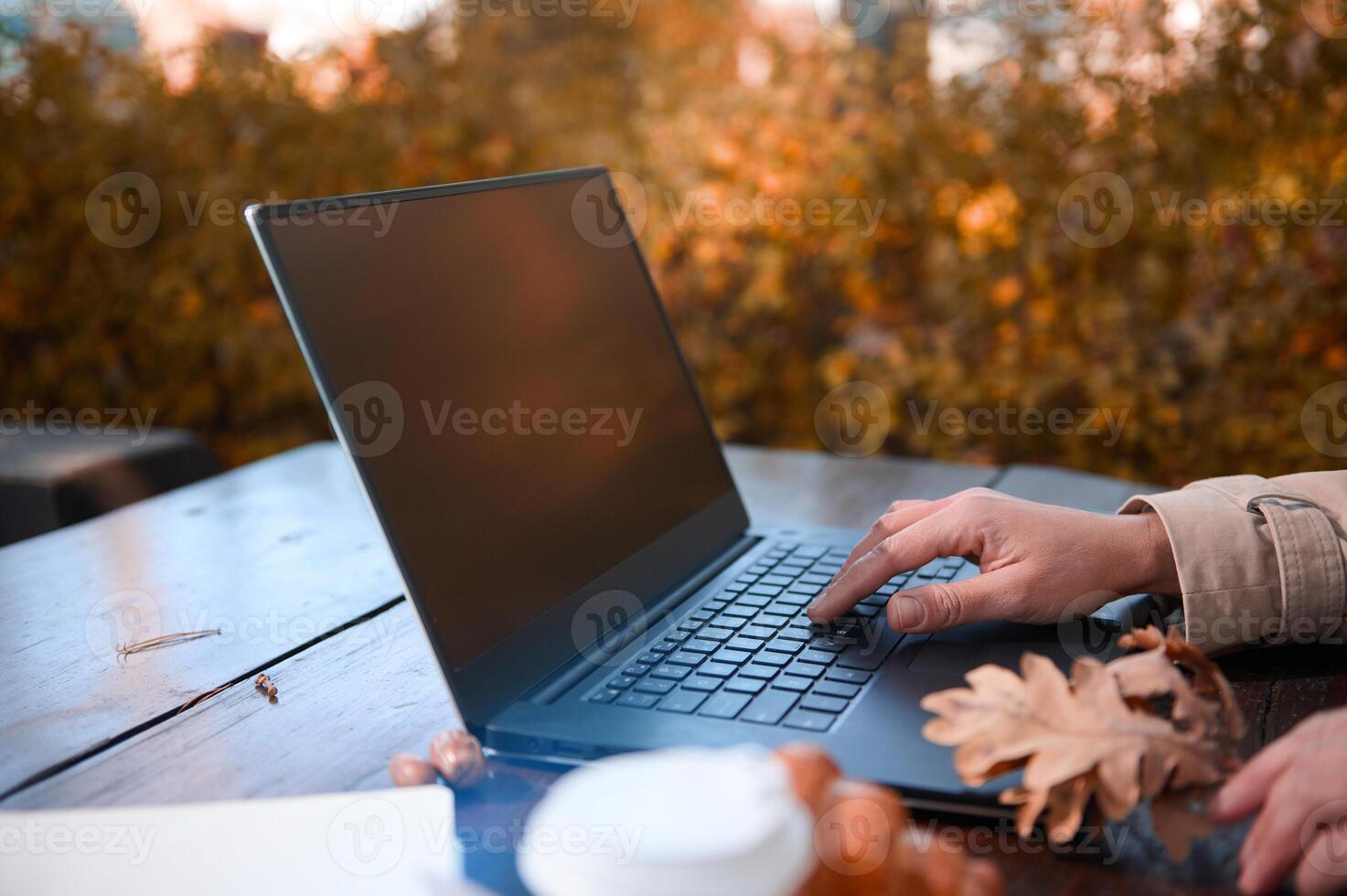 Focus on female holding oak leaf and typing on keyboard of a laptop with copy space on blank monitor screen , while working remotely outdoors in countryside with sunbeams falling through oak trees photo