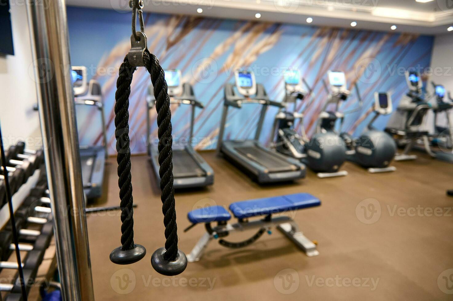 fotos de el interior de el gimnasio con un banco prensa, y cintas de correr en aptitud centrar