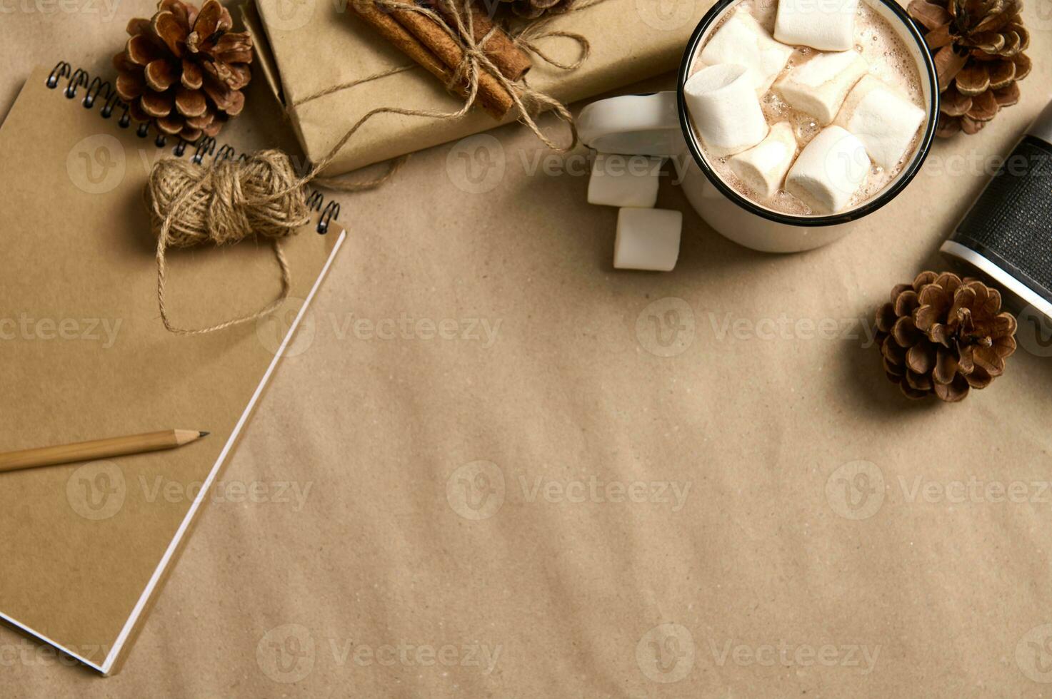 Cropped Christmas present in craft wrapping gift paper, cinnamon tied with rope, pine cones, vintage camera, notepad and cup with cocoa and marshmallows on blackboard background with copy space for ad photo