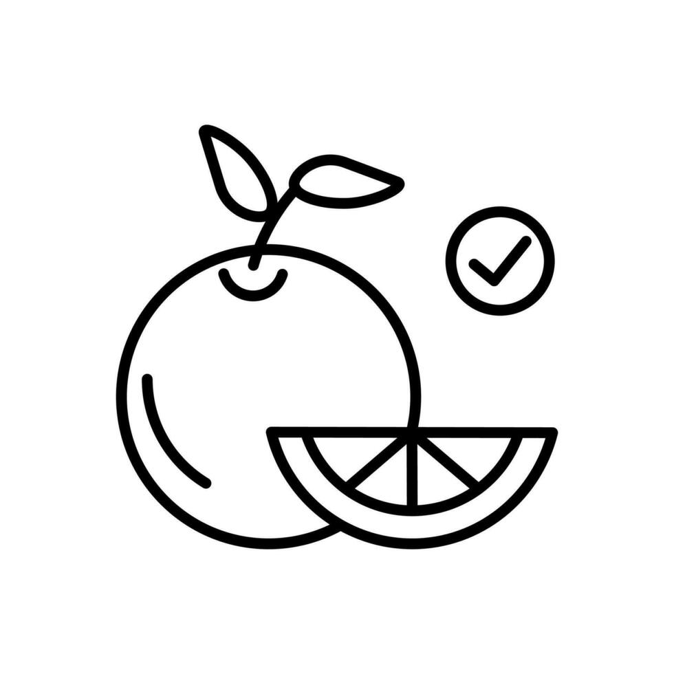 fruit orange icon icon signs set on white background vector
