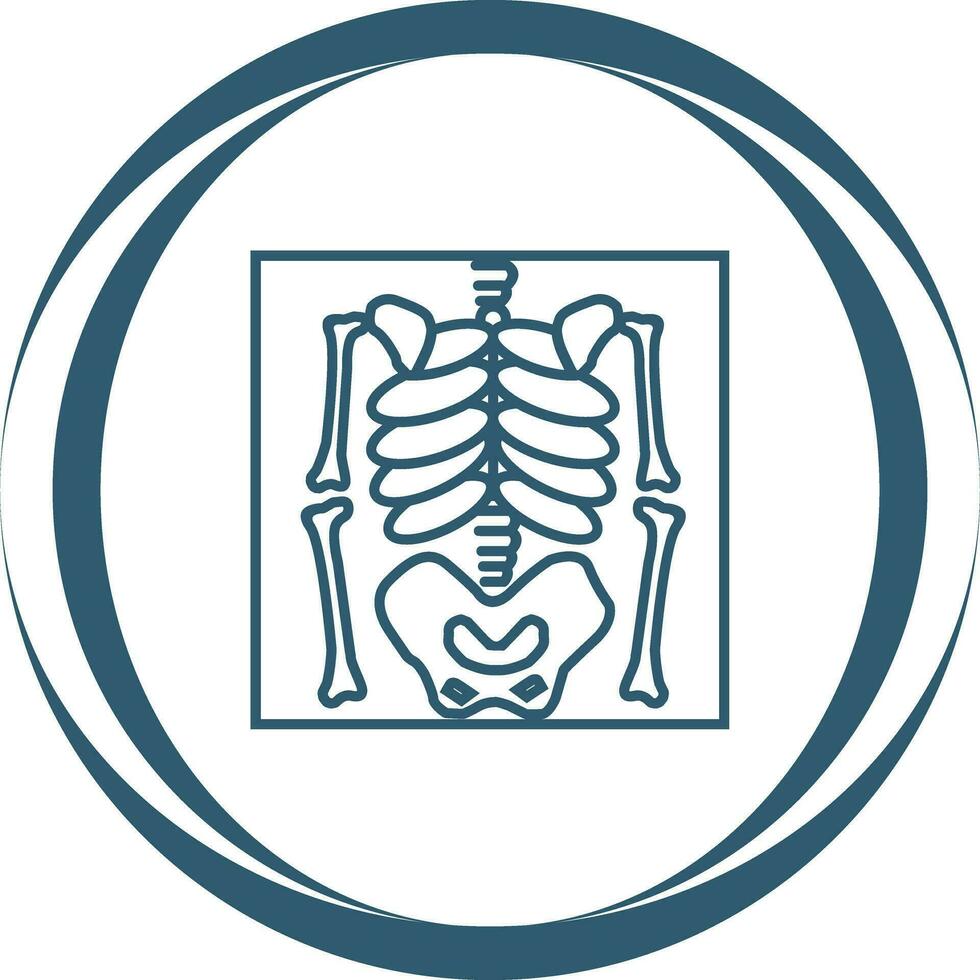 Skeleton Vector Icon