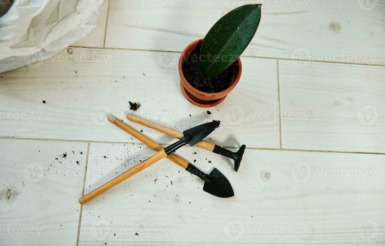 High angle view of a plant leaf into clay pot and gardening set lying on the floor photo