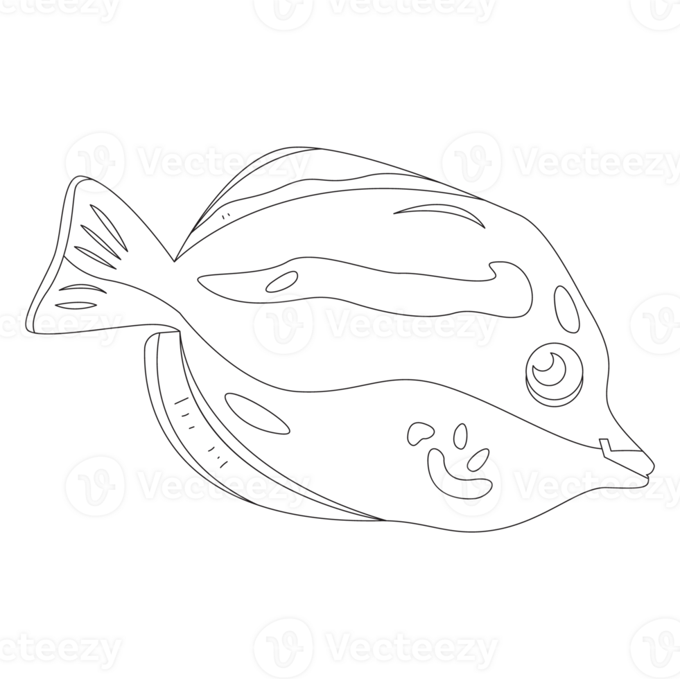 Zebrasoma Fish 2D Outline Illustrations png