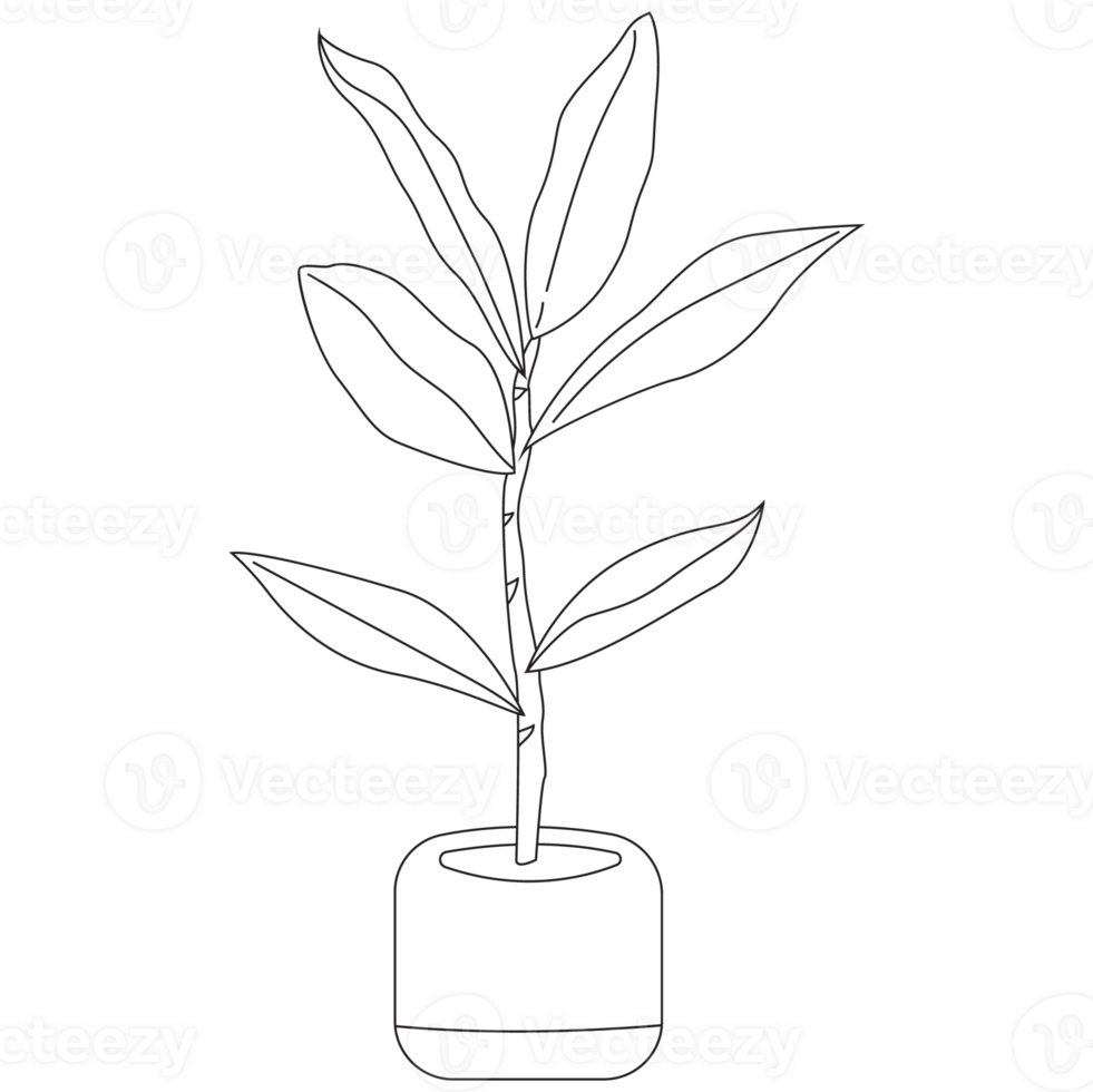 Fiddle Leaf Plant Outline 2D Illustrations png