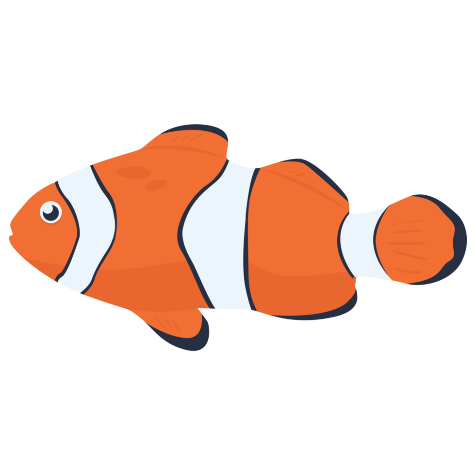 Clownfisch 2d Farbe Abbildungen png