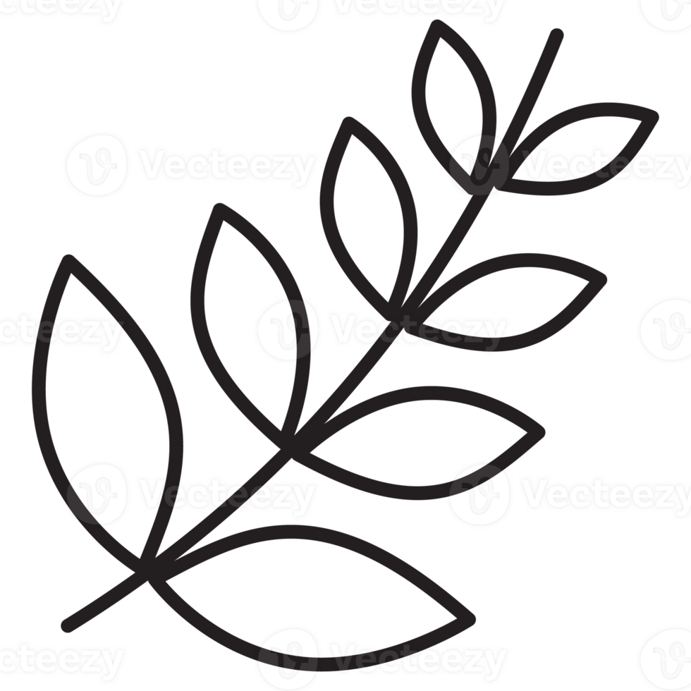 Branch Autumn Flora Outline 2D Illustration png