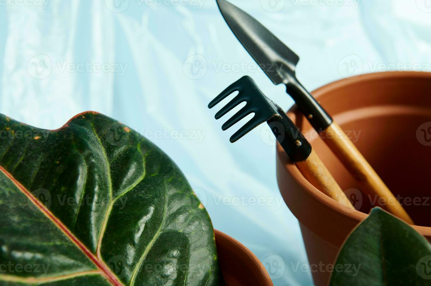 Closeup of set of small gardening rake and shovel in a terracotta clay pot with a green leaf on the foreground photo