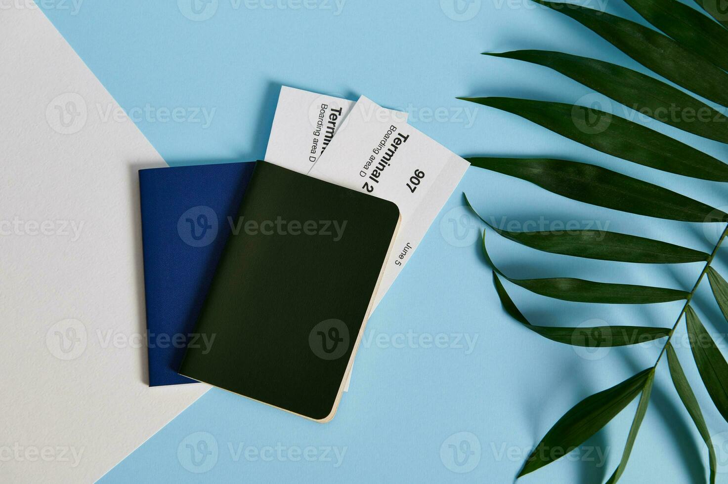 Flat lay of two passports with airplane tickets on bicolor background with a palm leaves photo