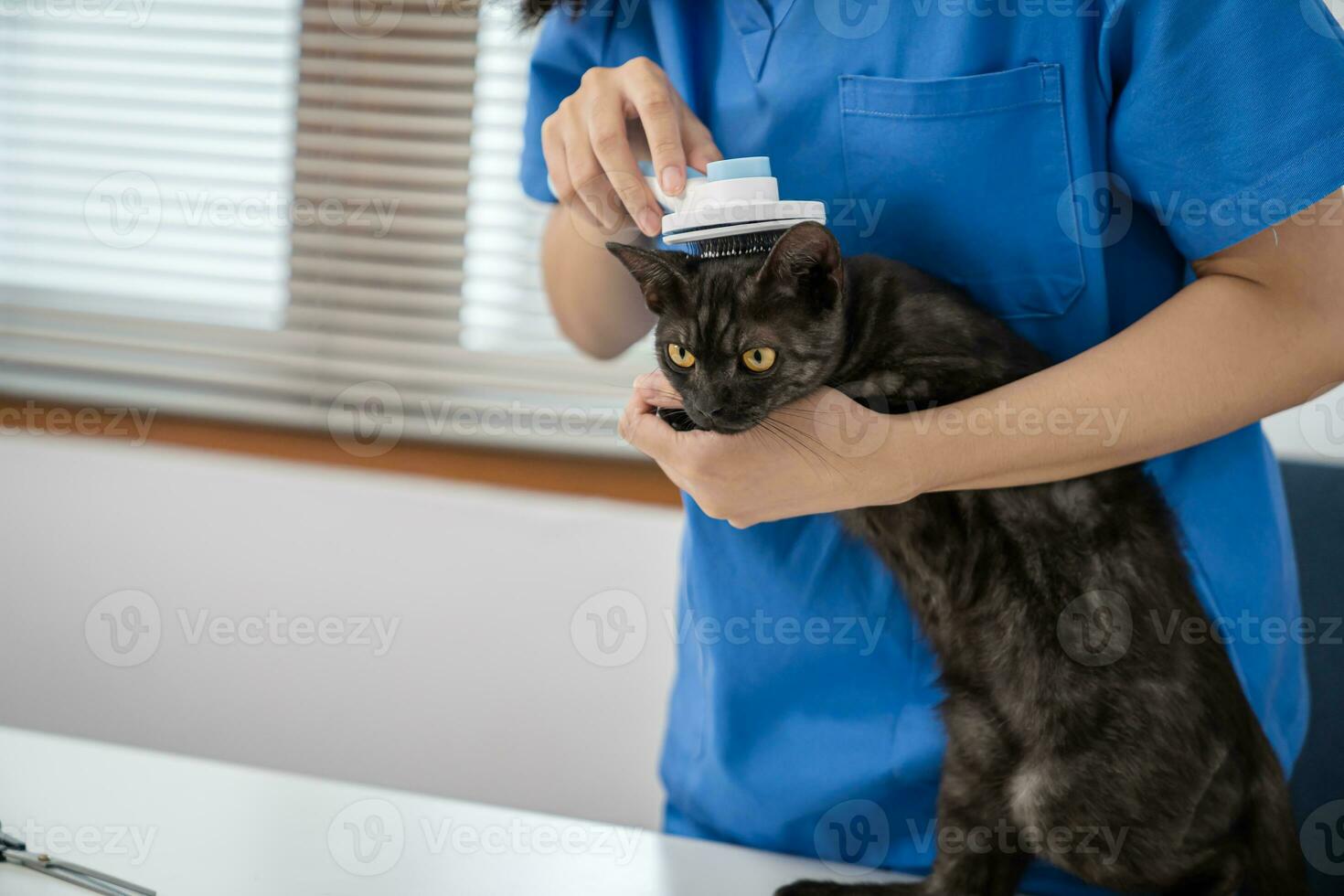 veterinario cirujano. gato en examen mesa de veterinario clínica. veterinario cuidado. veterinario médico y gato foto