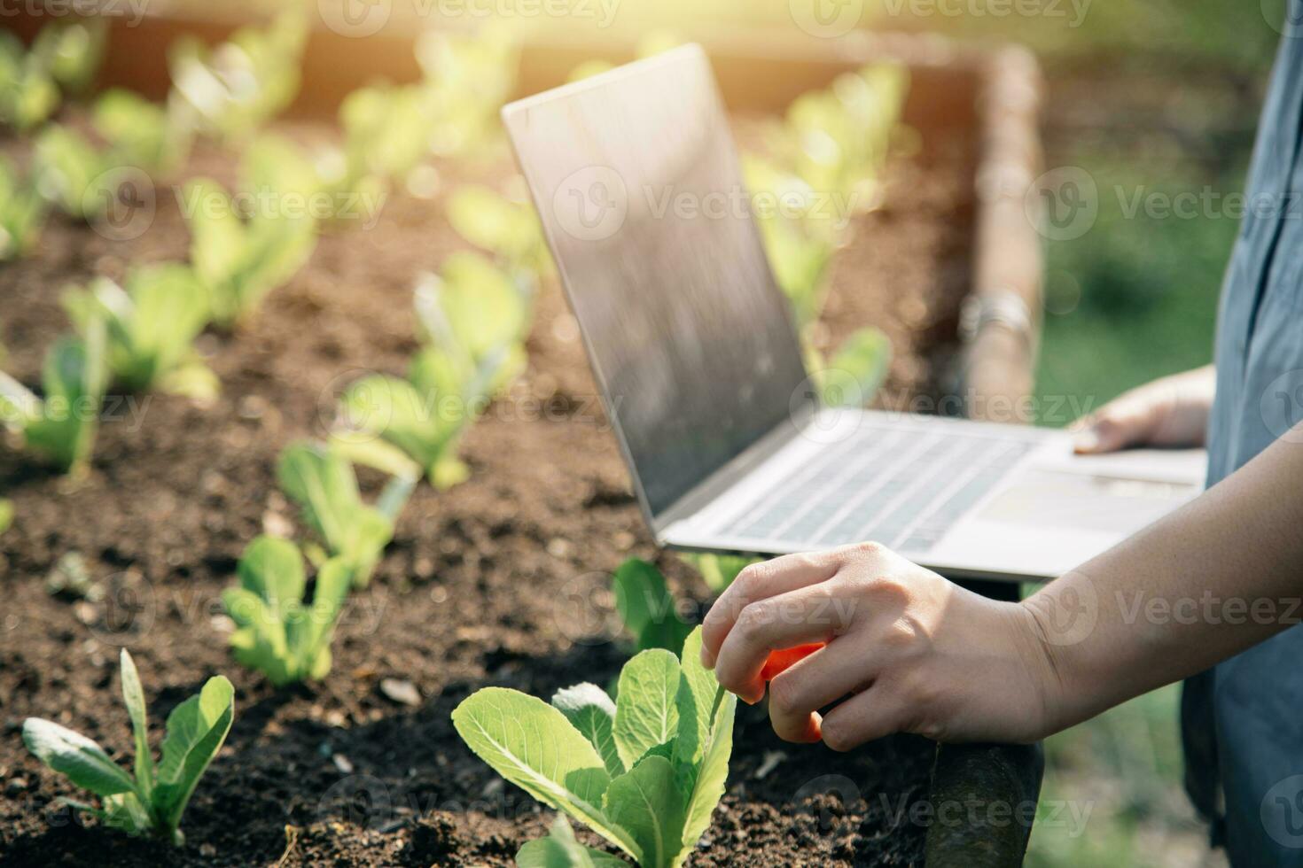 Asian woman farmer using digital tablet in vegetable garden at greenhouse, Business agriculture technology concept, quality smart farmer. photo