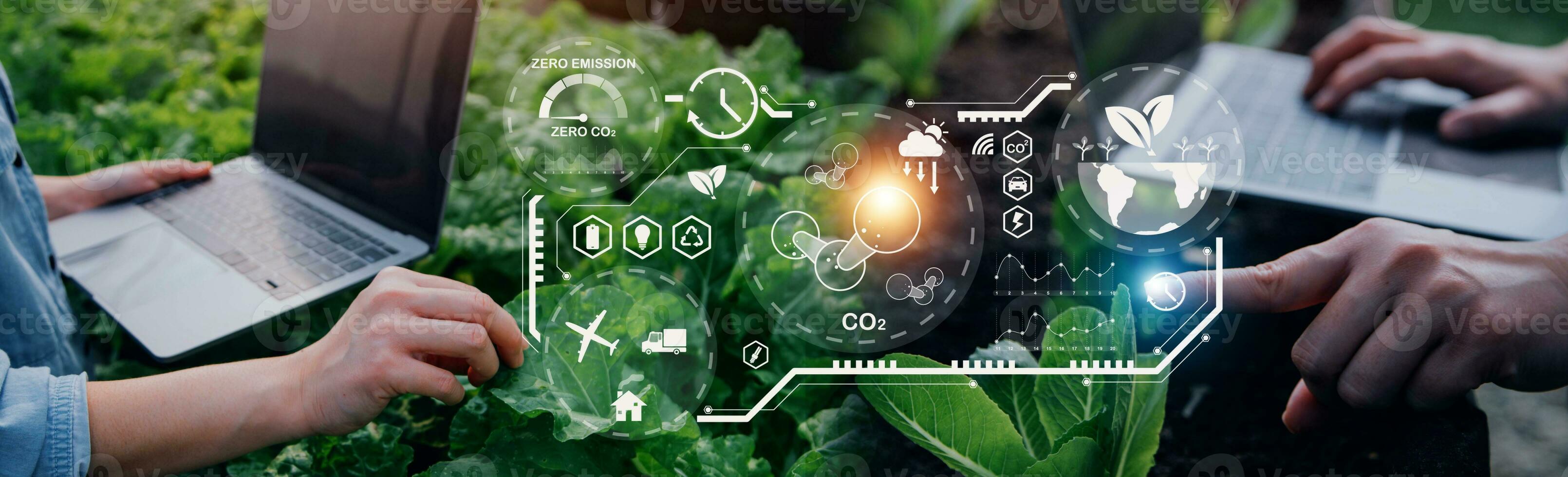 Smart farmer using application by tablet concepts modern vegetables and gardening lettuce at greenhouse. and visual icon. photo