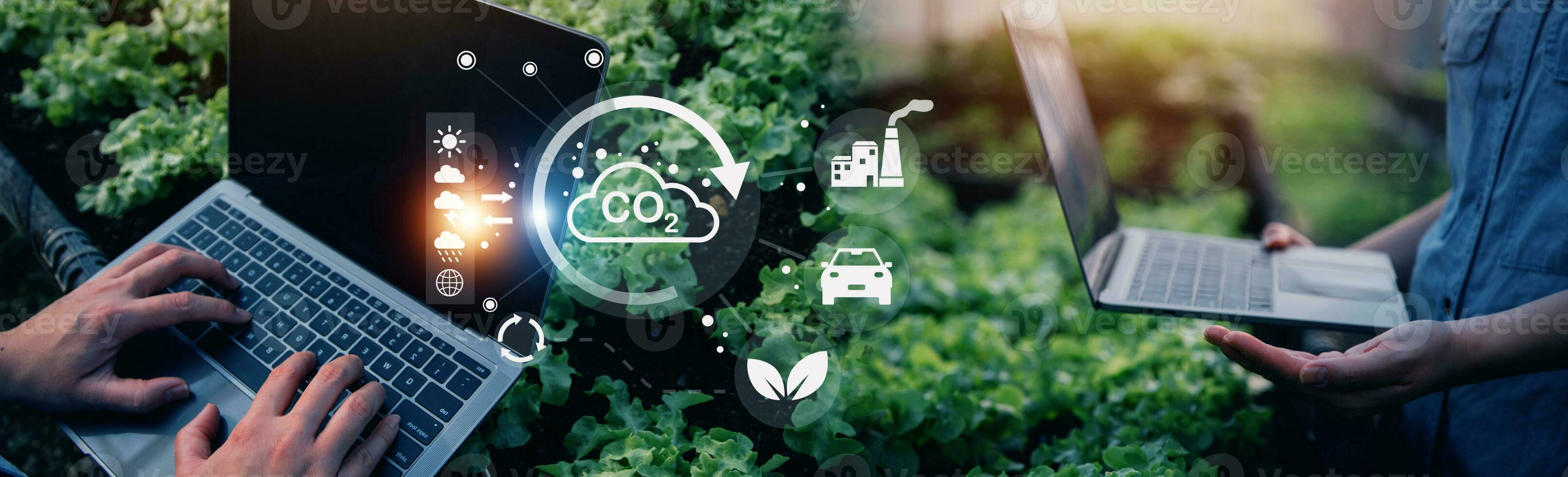 Smart farmer using application by tablet concepts modern vegetables and gardening lettuce at greenhouse. and visual icon. photo