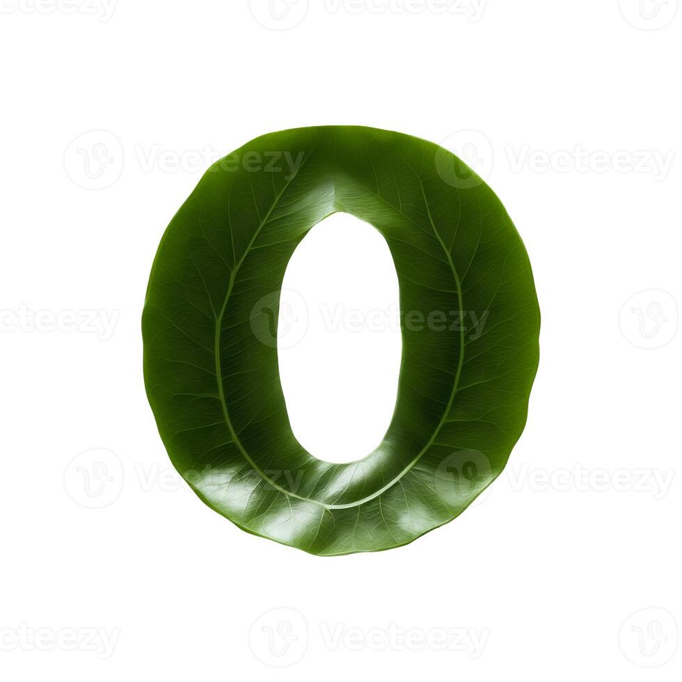 Green leaf typography text design uppercase alphabet O, photo
