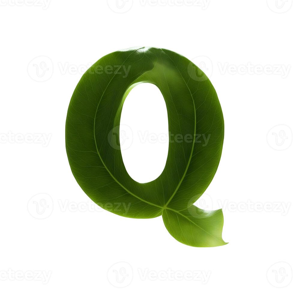 Green leaf typography text design uppercase alphabet Q, photo