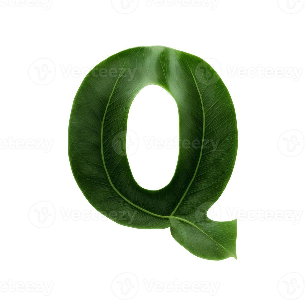 Green leaf typography text design uppercase alphabet Q, photo
