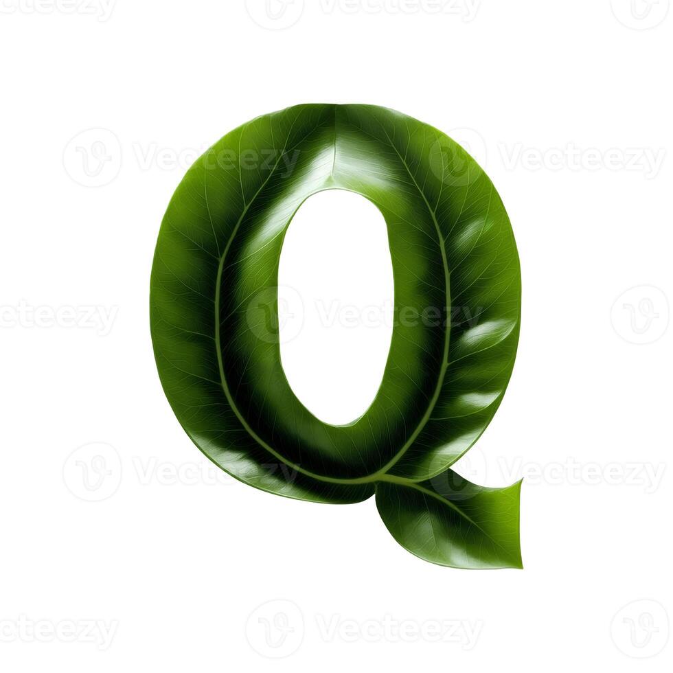 Green leaf typography text design uppercase alphabet Q, photo