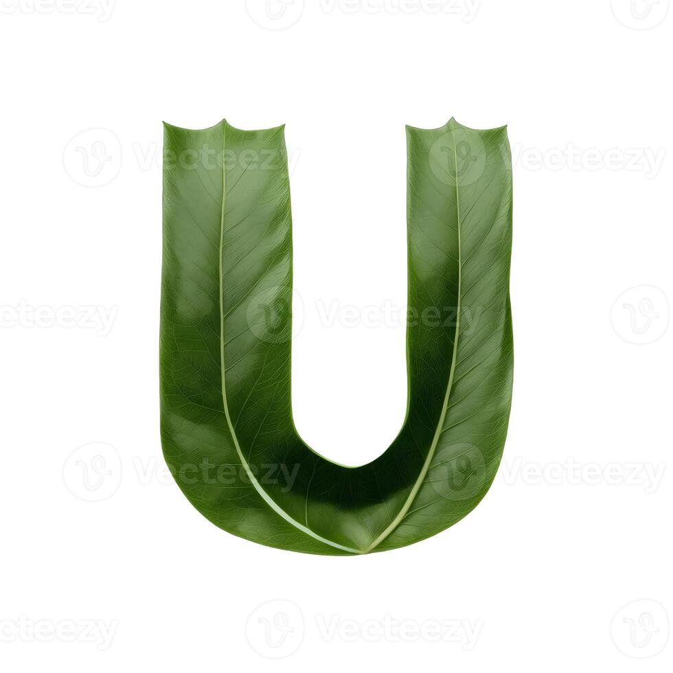 Green leaf typography text design uppercase alphabet U, photo