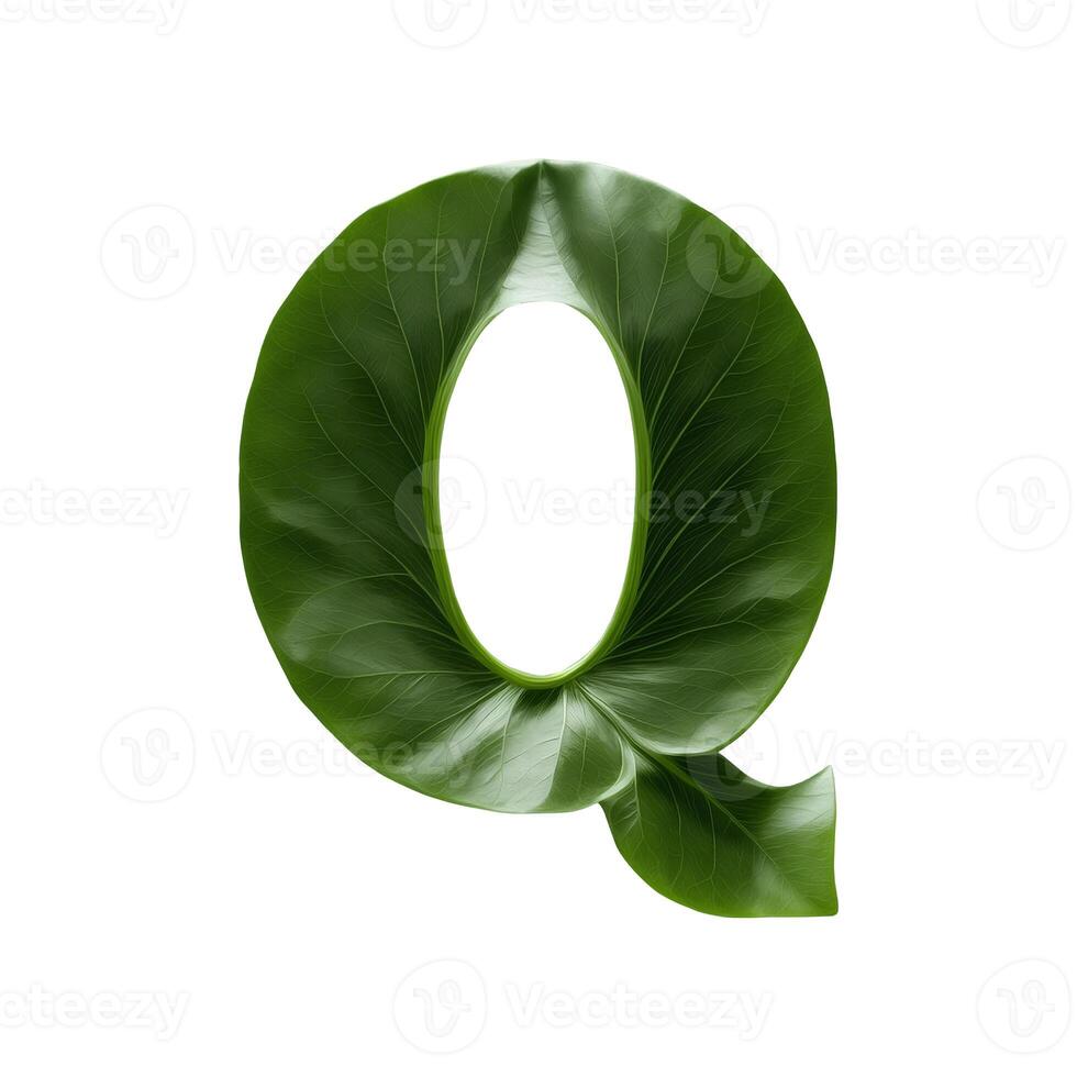 Green leaf typography text design uppercase alphabet Q, photo