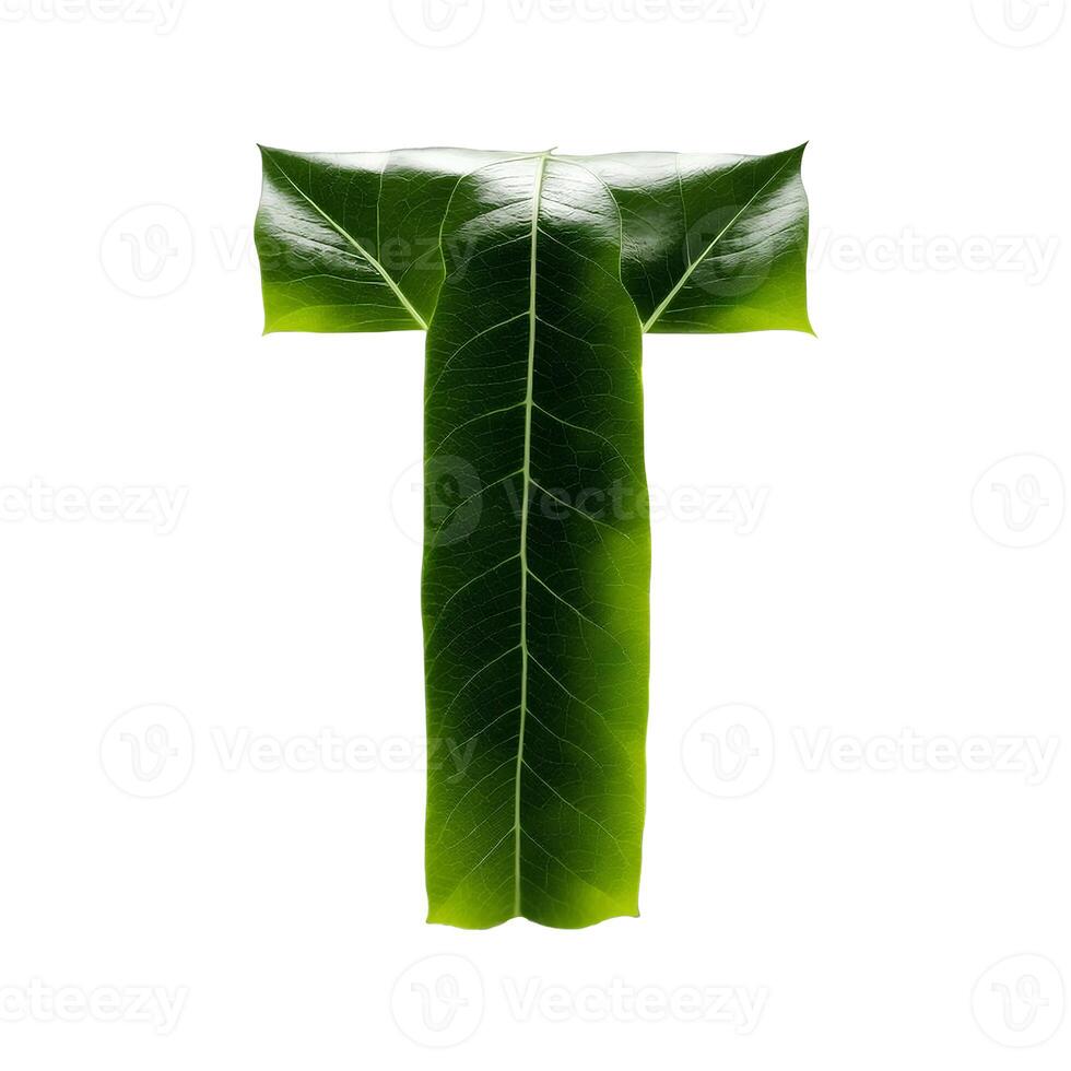 Green leaf typography text design uppercase alphabet T, photo