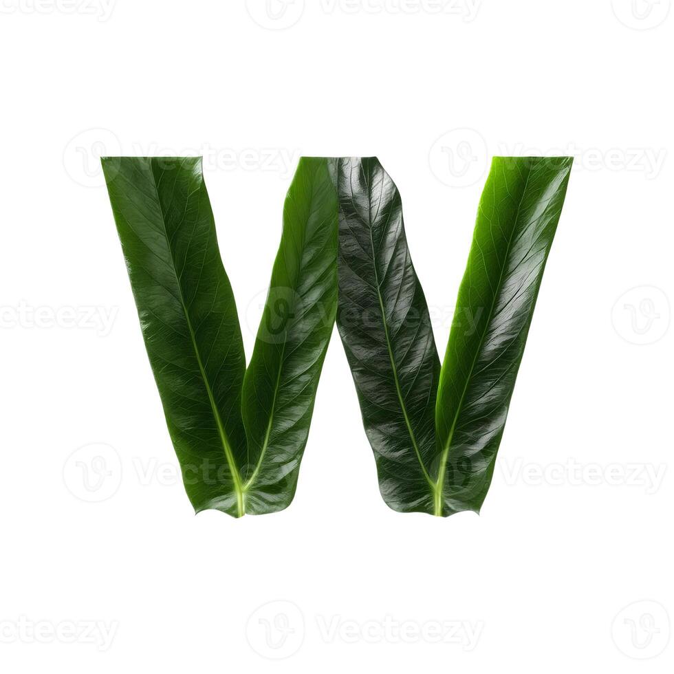 Green leaf typography text design uppercase alphabet W, photo