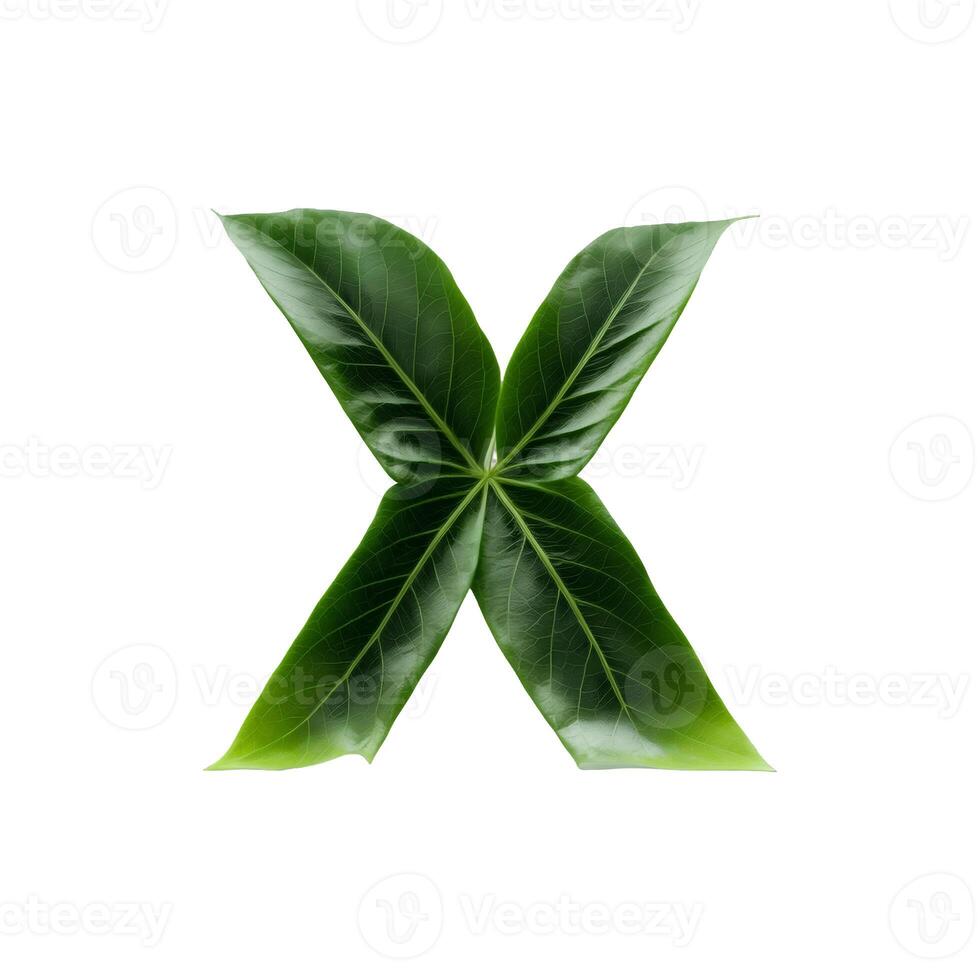 Green leaf typography text design uppercase alphabet X, photo