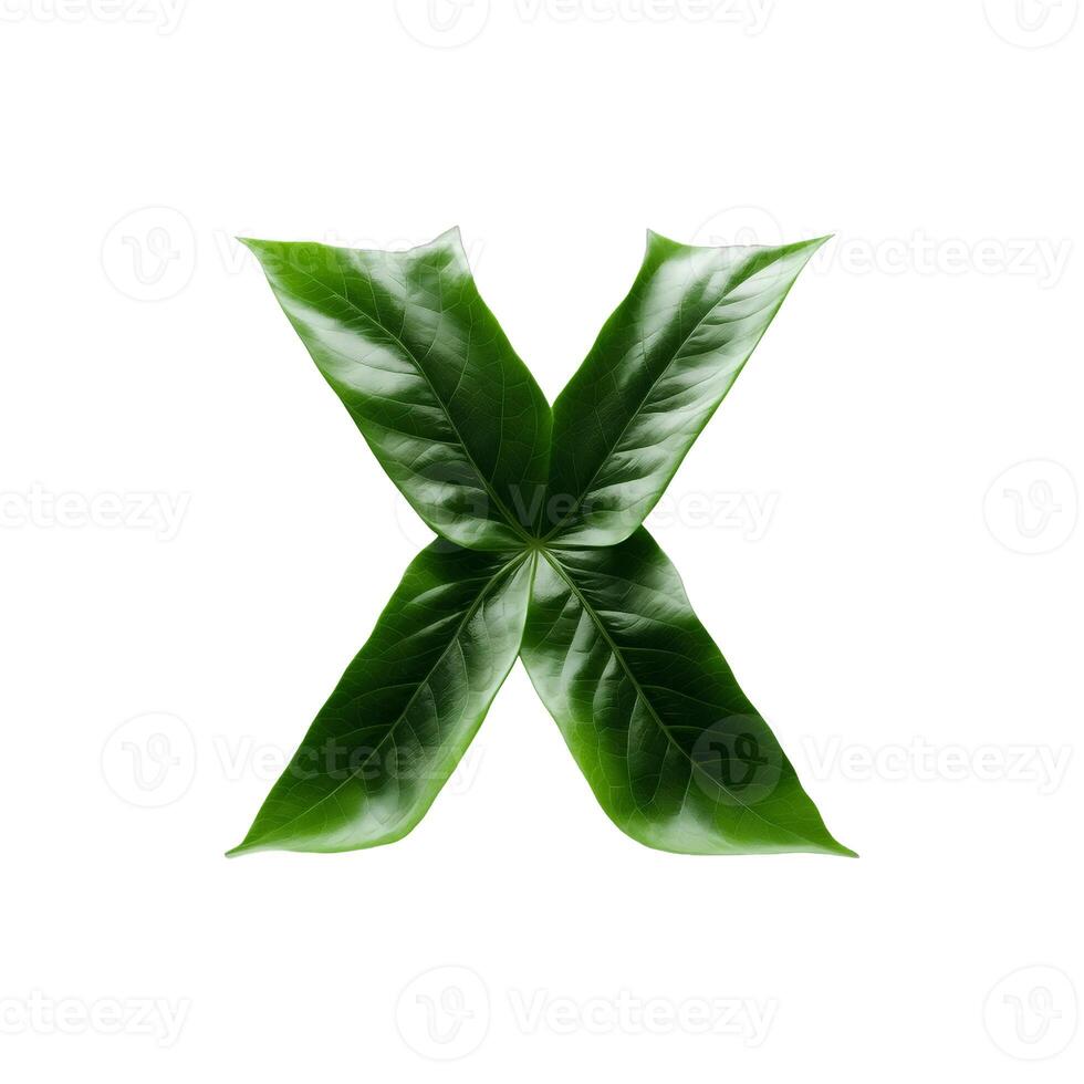 Green leaf typography text design uppercase alphabet X, photo