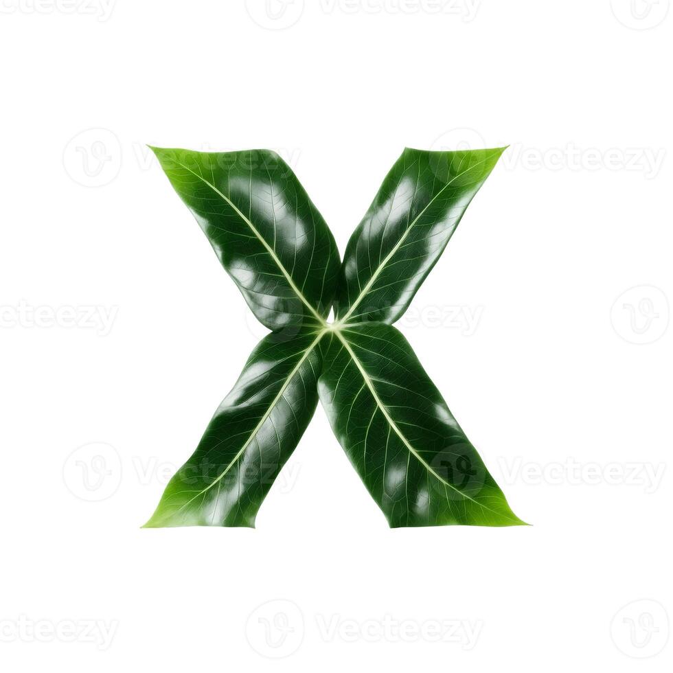 Green leaf typography text design uppercase alphabet X, photo