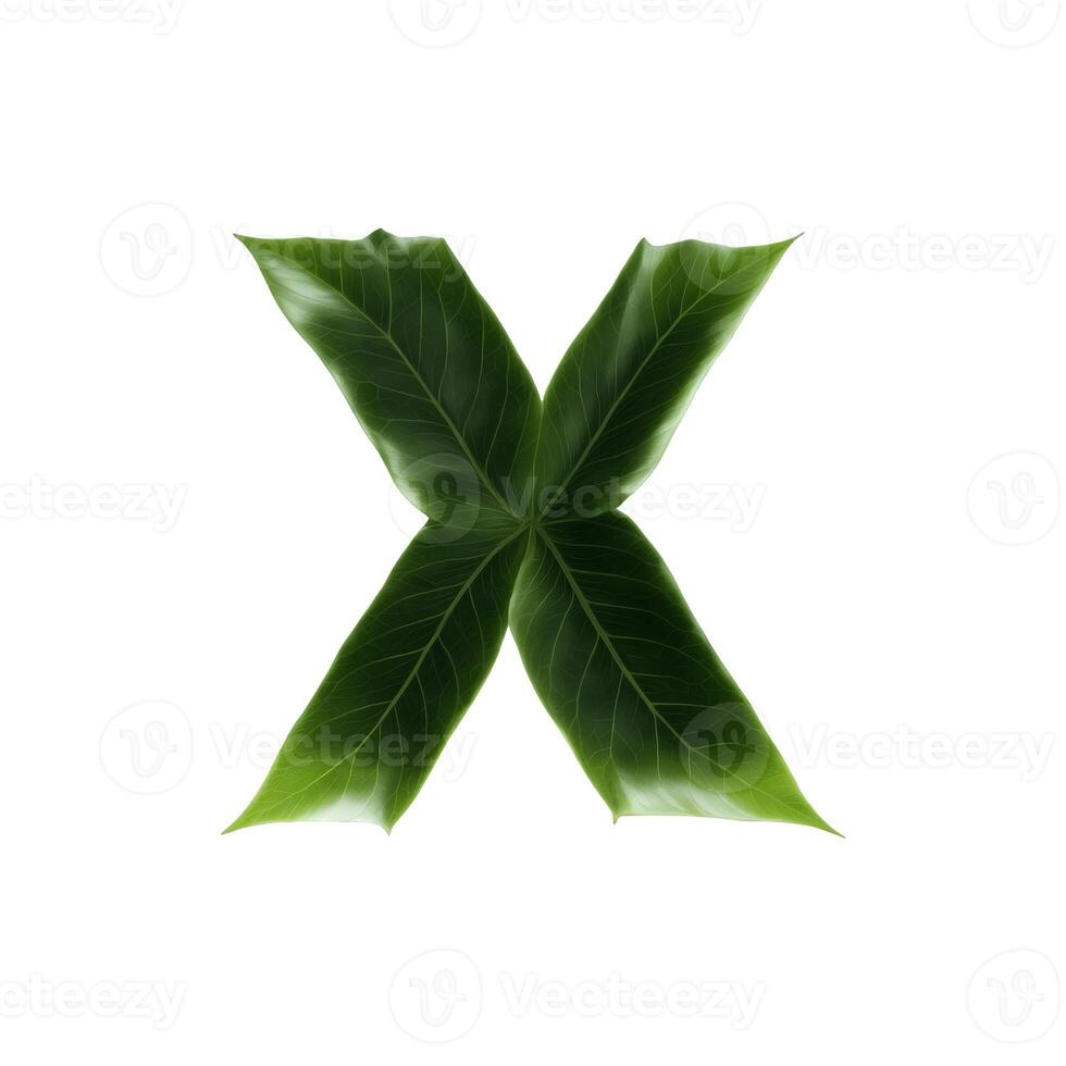 Green leaf typography text design uppercase alphabet X, photo