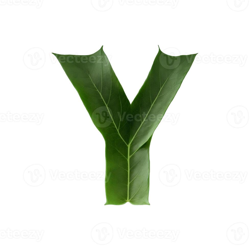 Green leaf typography text design uppercase alphabet Y, photo