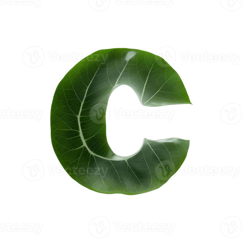 Green leaf typography text design lowercase alphabet c, photo
