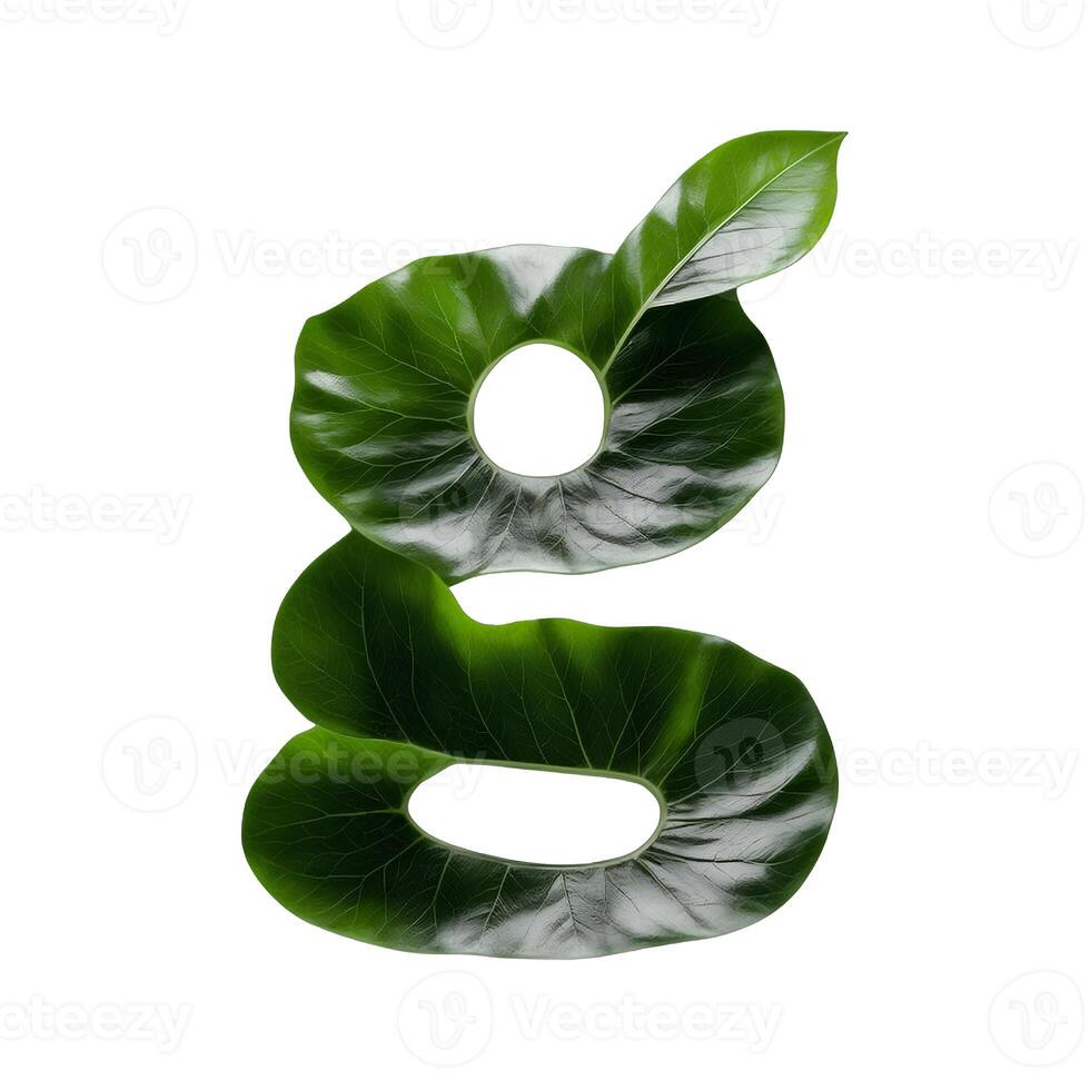 Green leaf typography text design lowercase alphabet g, photo