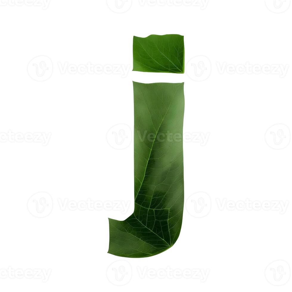 Green leaf typography text design lowercase alphabet j, photo
