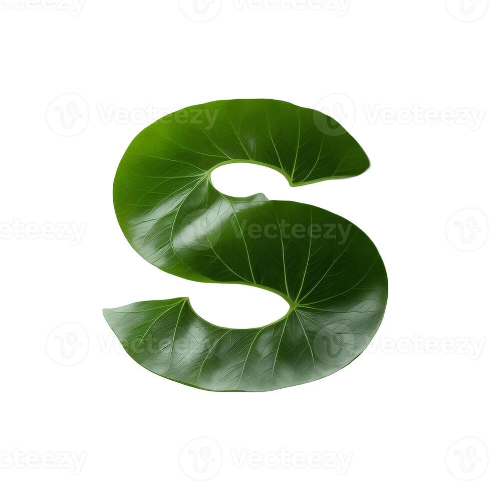 Green leaf typography text design lowercase alphabet s, photo