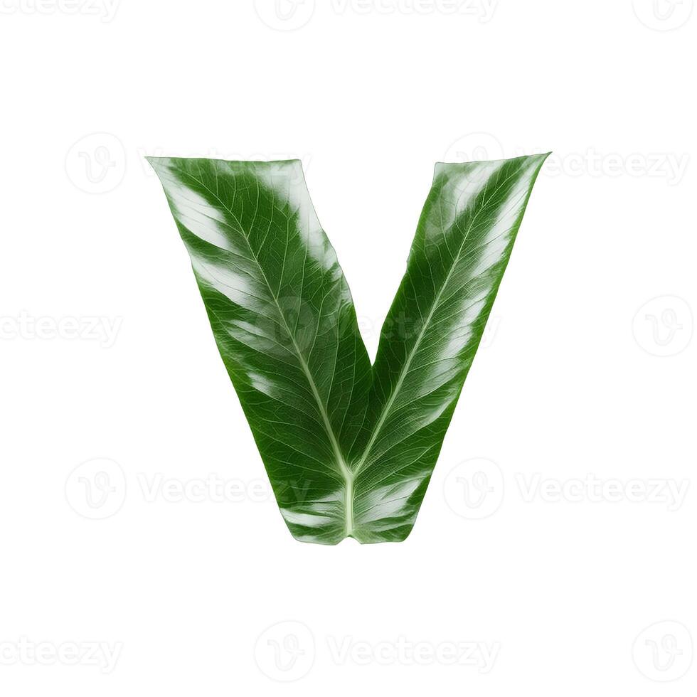 Green leaf typography text design lowercase alphabet v, photo