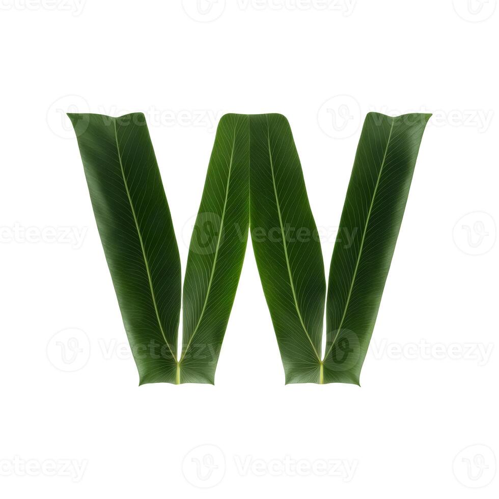 Green leaf typography text design lowercase alphabet w, photo