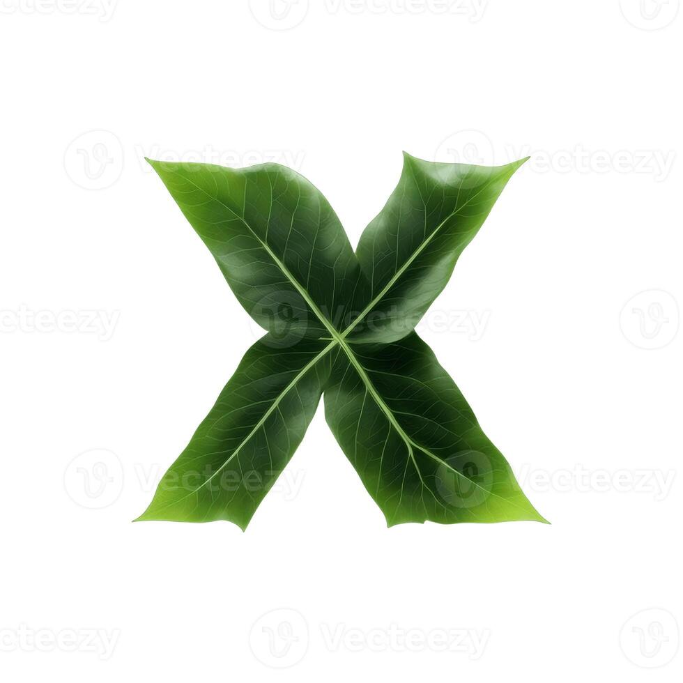 Green leaf typography text design lowercase alphabet x, photo