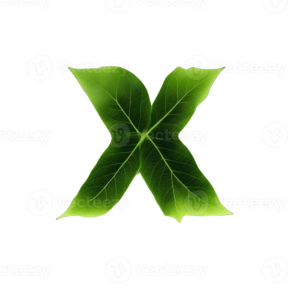 Green leaf typography text design lowercase alphabet x, photo