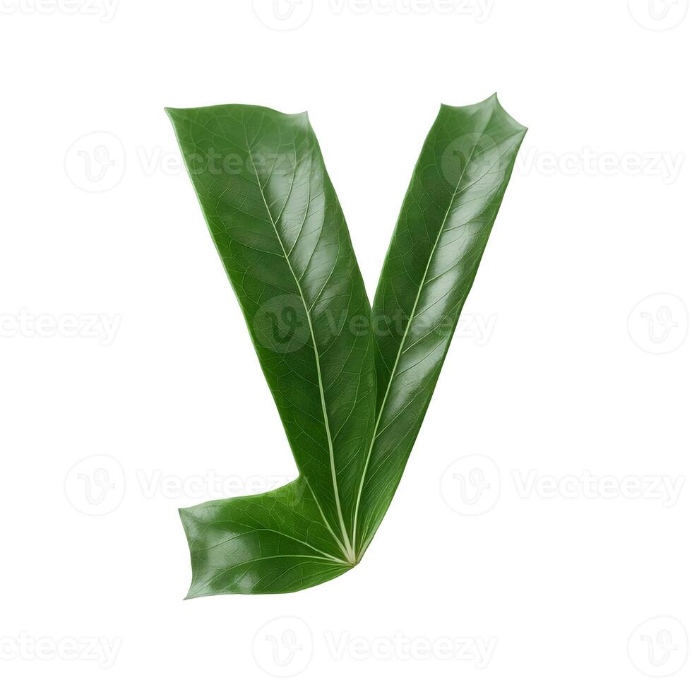 Green leaf typography text design lowercase alphabet y, photo